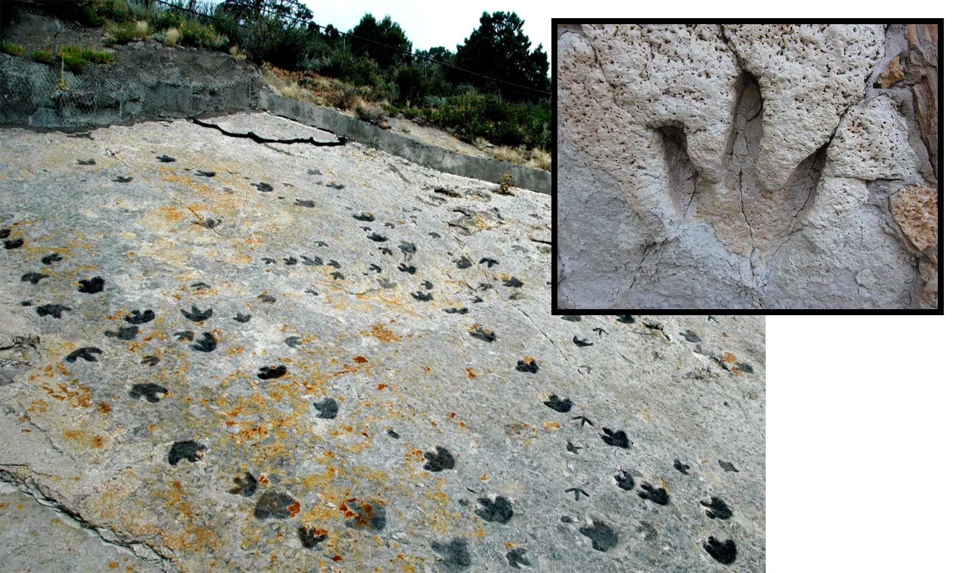 Slide Image